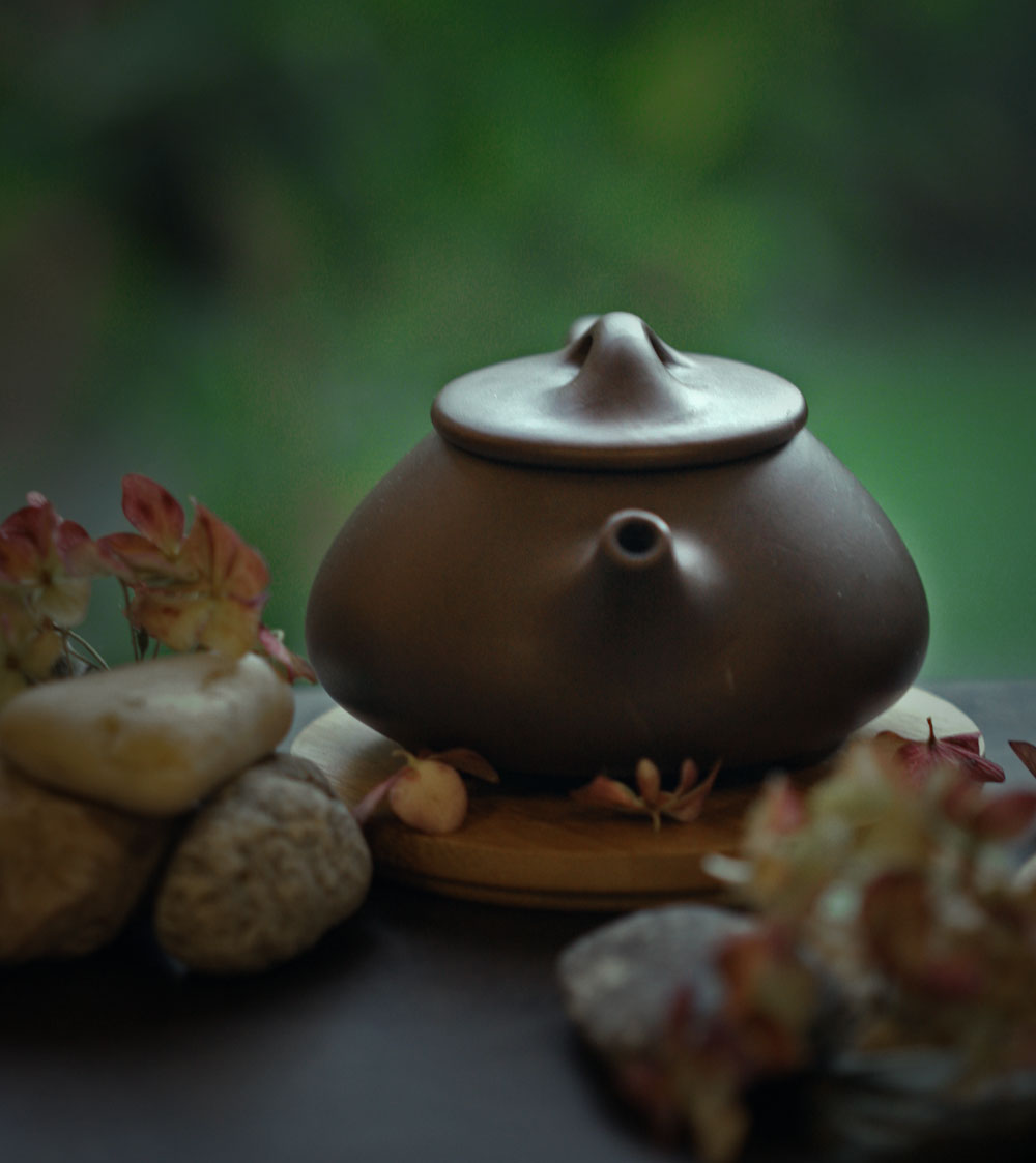Short guide for buying Tieguanyin tea